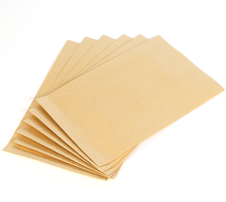 Record Power CamVac CVG170-101 Paper Filter Bag (6 per pkt)